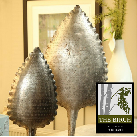 the-birch-thumbnail