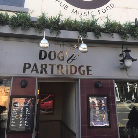 the-dog-partridge-thumbnail