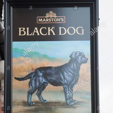 the-black-dog-thumbnail