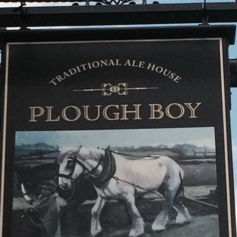the-plough-boy-thumbnail