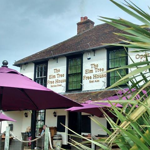 the-elm-tree-thumbnail