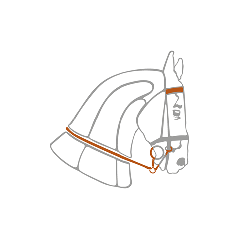 white-horse-thumbnail