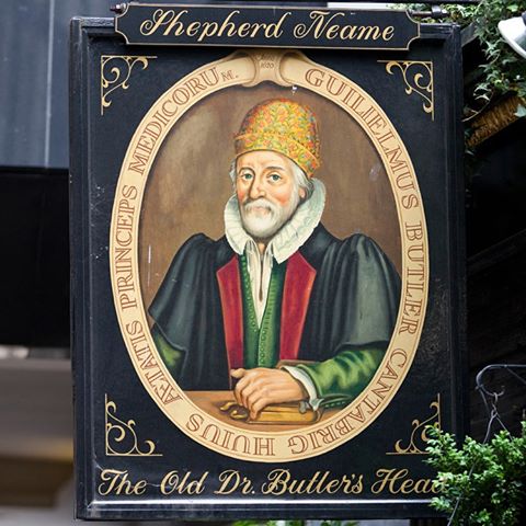 the-old-doctor-butlers-head-thumbnail