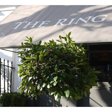 the-ring-thumbnail