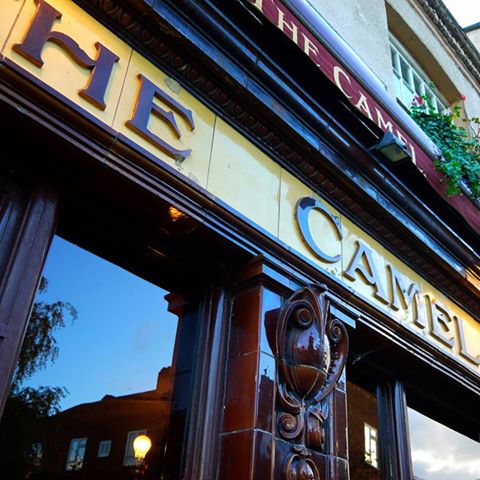the-camel-thumbnail