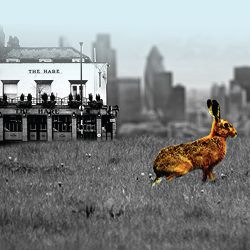 the-hare-thumbnail