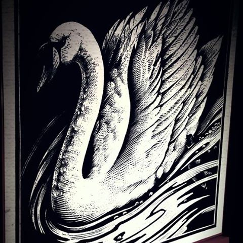 the-white-swan-thumbnail
