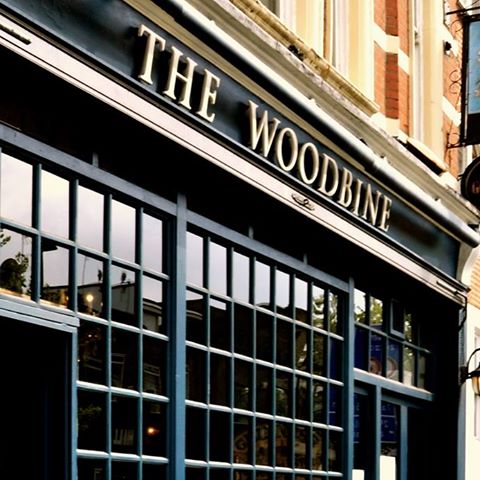 the-woodbine-thumbnail