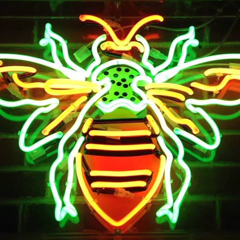 the-beehive-thumbnail