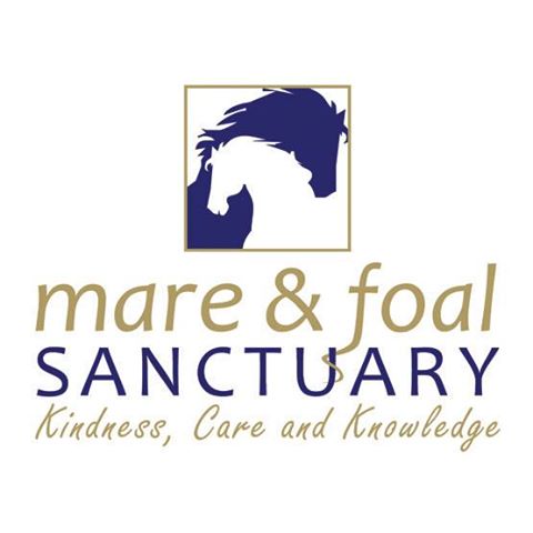 the-mare-foal-thumbnail