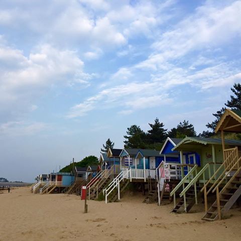 the-pinewoods-thumbnail