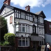 white-horse-thumbnail