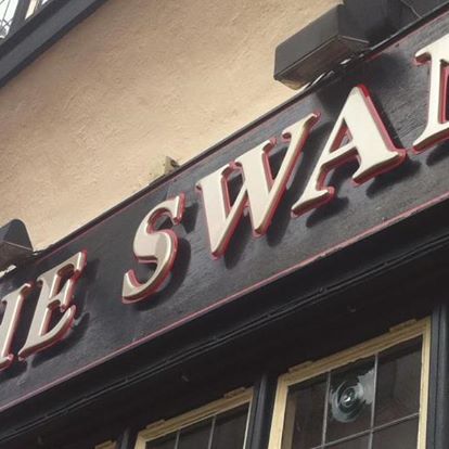 the-swan-thumbnail
