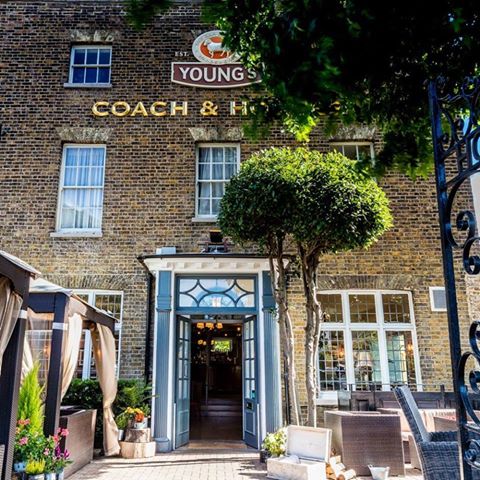 coach-horses-thumbnail