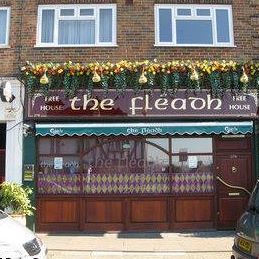the-fleadh-thumbnail
