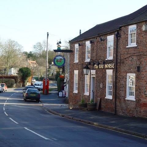 the-bay-horse-thumbnail