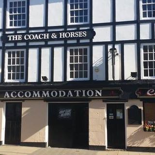 coach-horses-thumbnail