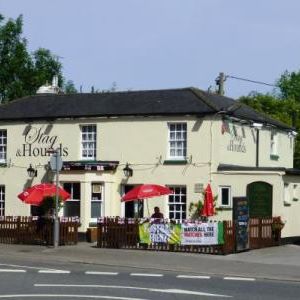 the-stag-hounds-thumbnail